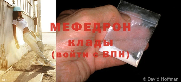 прущие грибы Верея