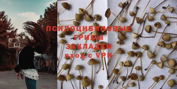 спиды Володарск