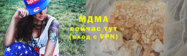 прущие грибы Верея